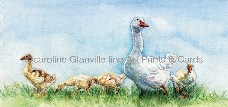 goose and goslings, painting by Caroline Glanville